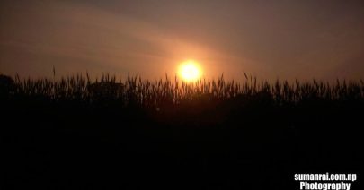 549459_957562290929129_217995314625403308_n