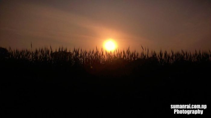 549459_957562290929129_217995314625403308_n