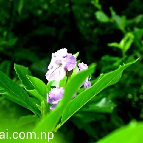 10003257_600844056651953_1955413736_n