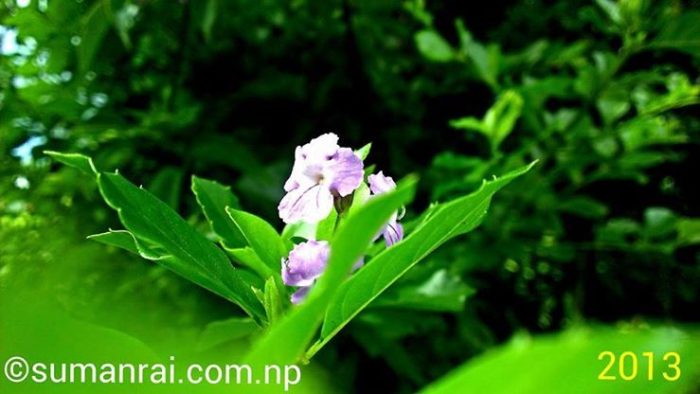 10003257_600844056651953_1955413736_n