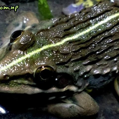 10603731_838489316169761_5223488279917346895_n