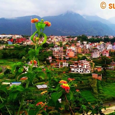 1662002_823449517673741_8550708109806322979_n