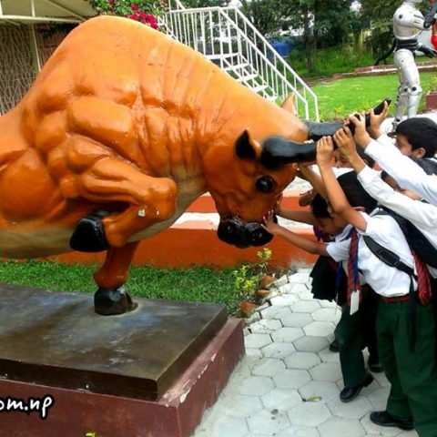 1907447_841981585820534_2493855992848611876_n