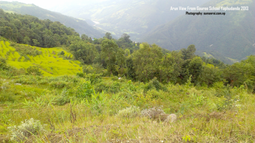 gauree view