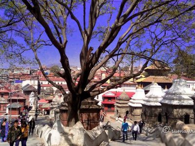 pasupati nath