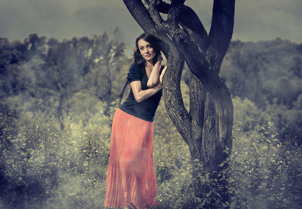 In The Wood
